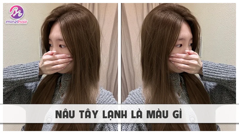 Nâu tây lạnh là màu gì?