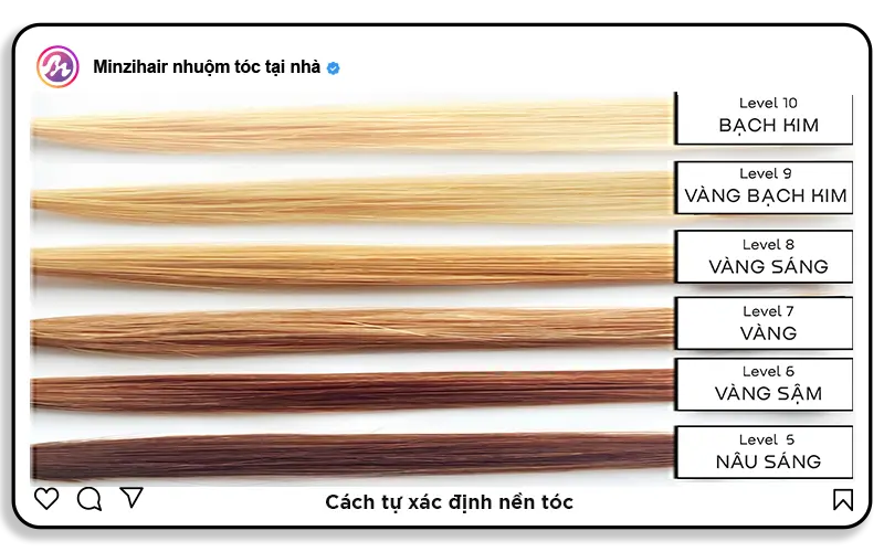 1. Cách xác định level tóc của mình chính xác?