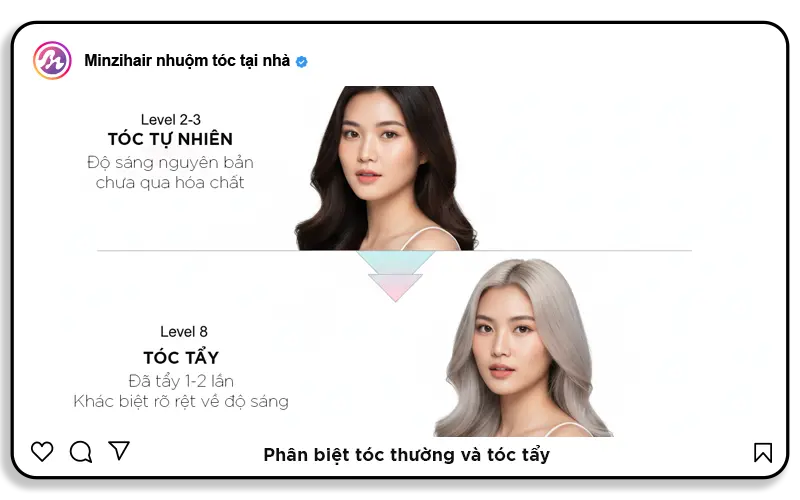 3. Level tóc tự nhiên và level tóc tẩy khác nhau thế nào?