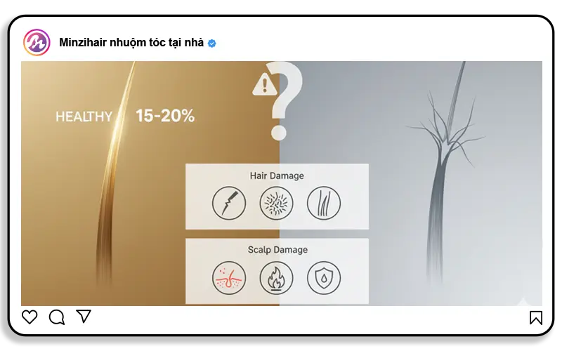Tẩy tóc có hại không? Tác hại của tẩy tóc