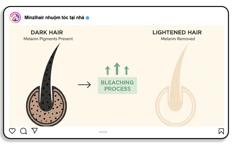 Tẩy tóc là gì 1