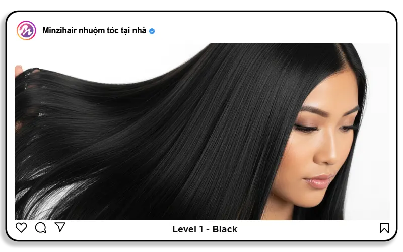 Level 1: Black (Đen)