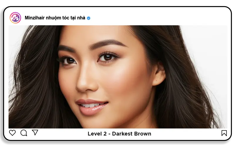 Level 2: Darkest brown (Nâu đen)
