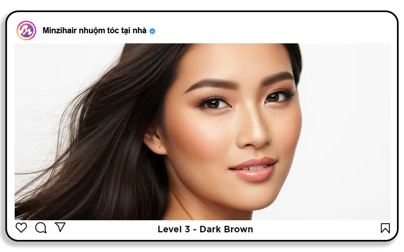 Level 3: Dark brown (Nâu tối)