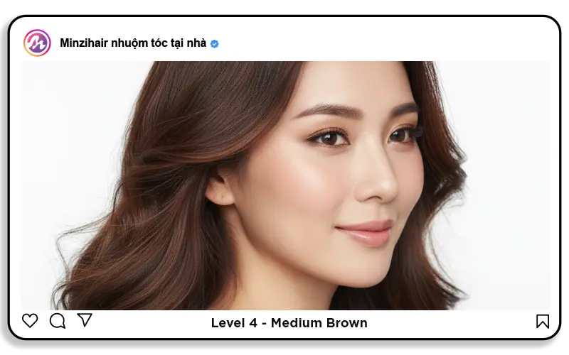 Level 4: Medium brown (Nâu vừa)