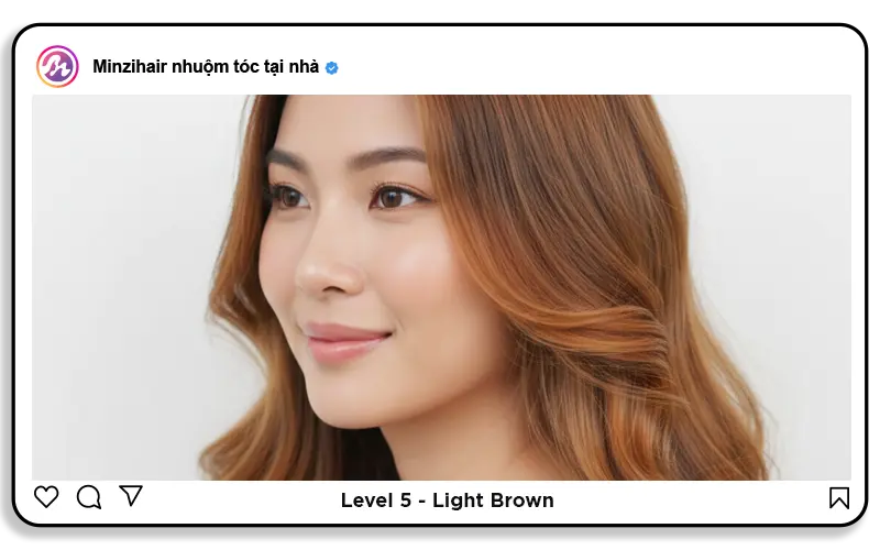 Level 5: Light brown (Nâu sáng)