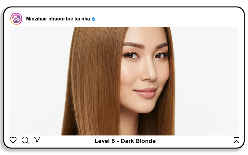 Level 6: Dark blonde (Vàng đậm)