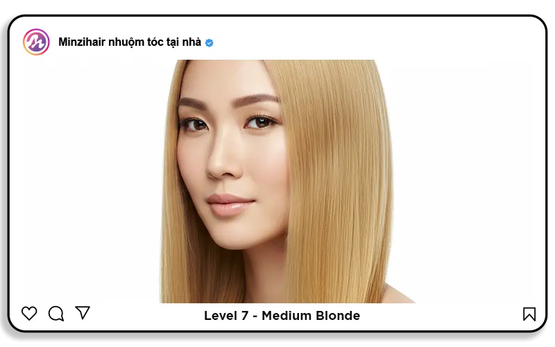 Level 7: Medium blonde (Vàng vừa)