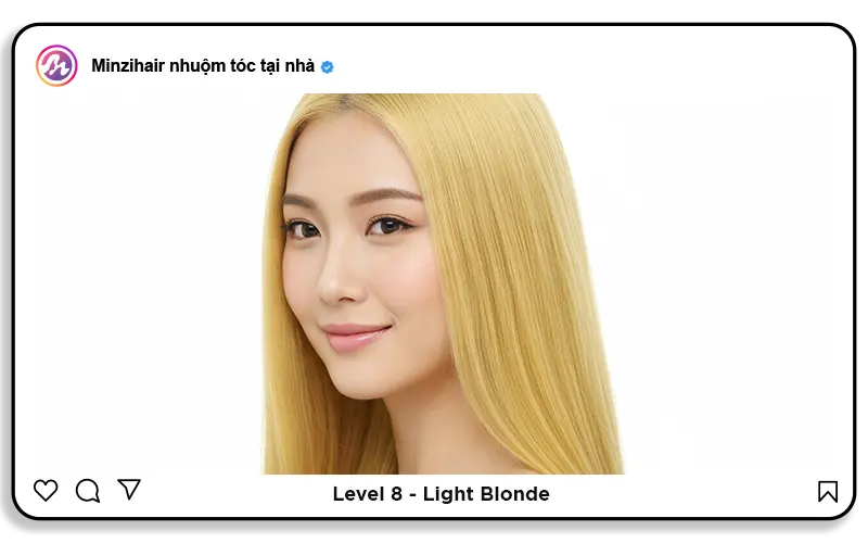 Level 8: Light blonde (Vàng sáng)