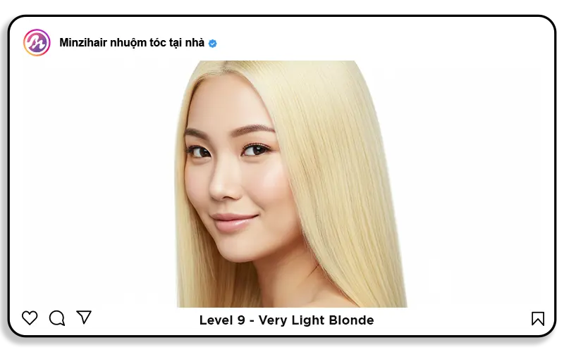 Level 9: Very light blonde (Vàng rất sáng)
