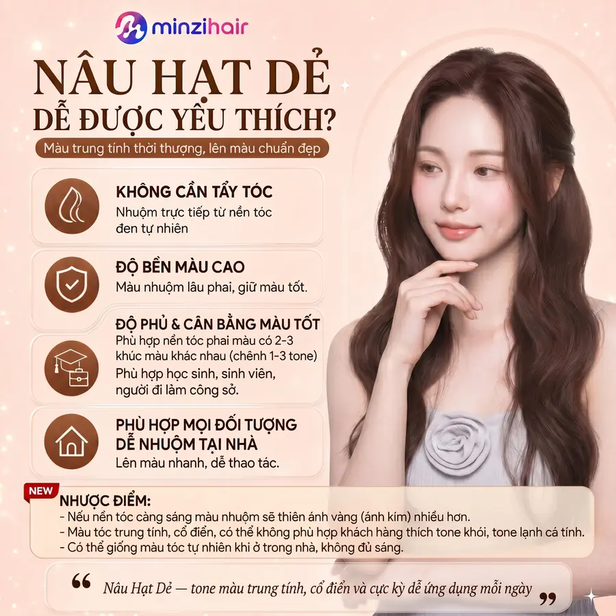 Vì sao thuốc nhuộm tóc màu nâu hạt dẻ được yêu thích